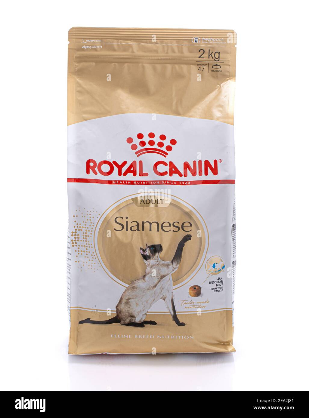 SWINDON, Großbritannien - 2. FEBRUAR 2021: Paket mit Royal Canin Siam Adult Feline Nutrition Katzenfutter auf weißem Hintergrund Stockfoto