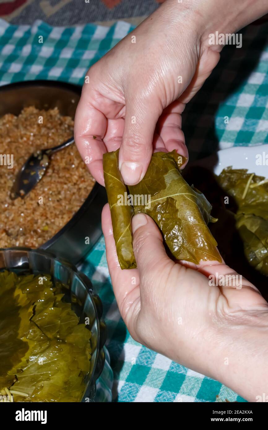 Frau wickelt Traubenblätter für Türkisch Sarma oder Dolma (Yaprak Sarma). Traditionelle türkische Küche. Hausmannskost-Konzept. Stockfoto