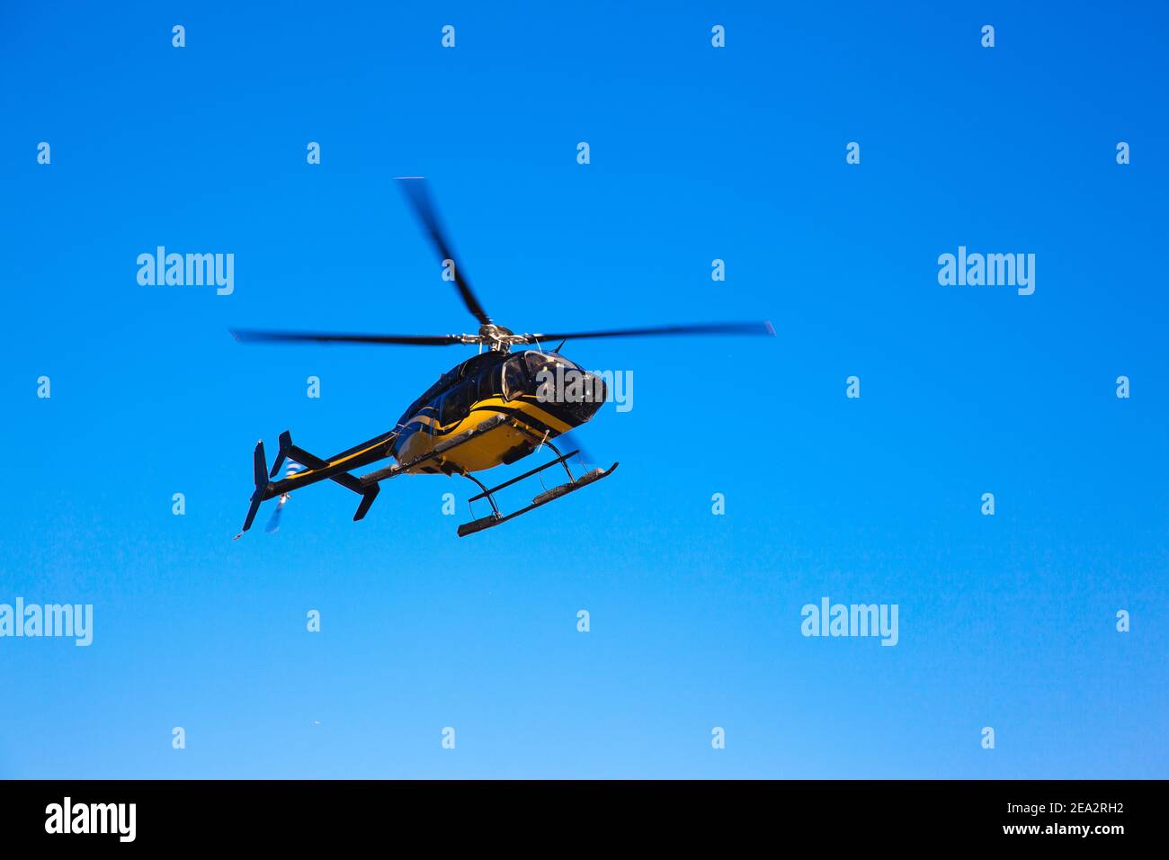 Der isolierte schwarz-gelbe Hubschrauber fliegt in den Himmel. Stockfoto