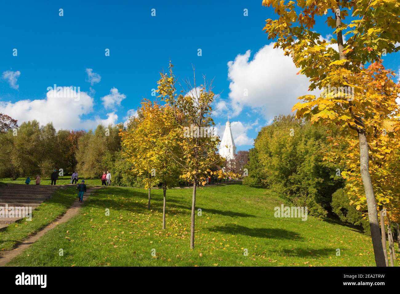 Moskau/Russland - 10 01 2016:Gelbe Ahornbäume sind in Kolomenskoye park in sonnigen Tag Stockfoto