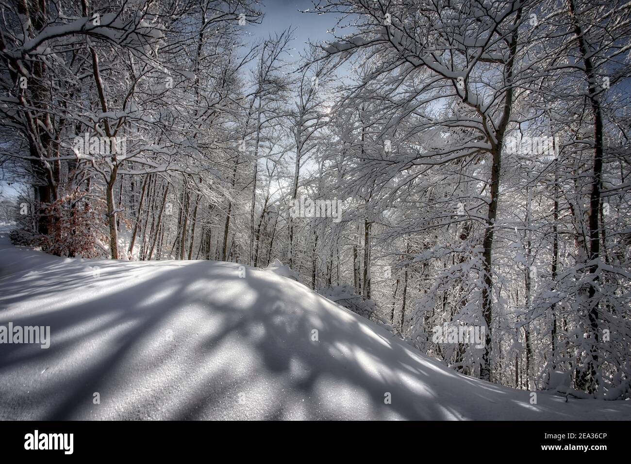 DE - BAYERN: Winterszene auf Kalvarienberg oberhalb von Bad Tölz Stockfoto