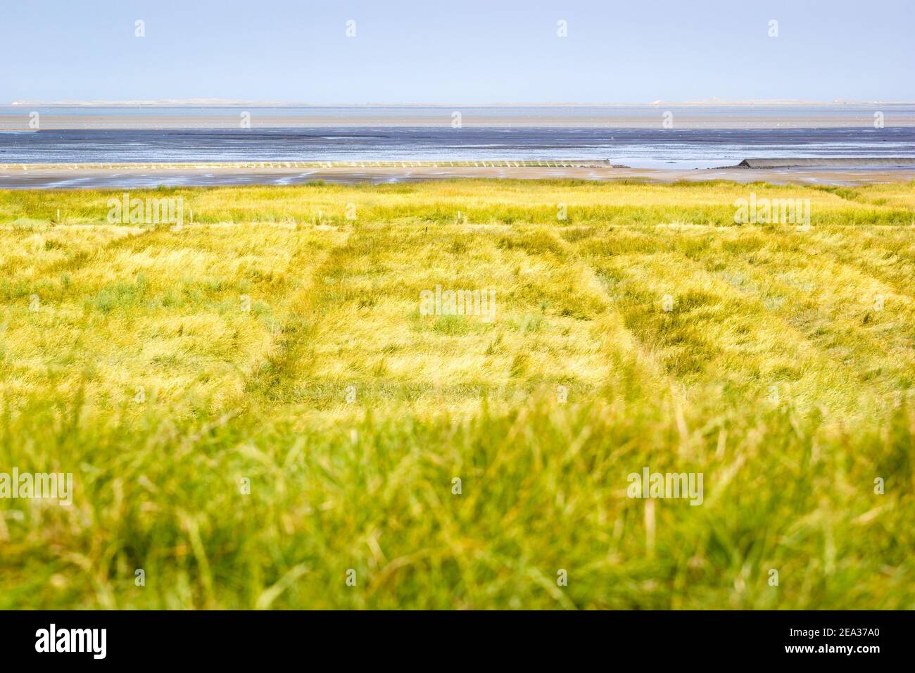 Das wattenmeer bei Ebbe. Der schlammige Boden des Gezeitenflaches ist weit sichtbar hinter einer "Lahnung", einem Betonküstenschutz (Wellenbrecher oder Groy) Stockfoto
