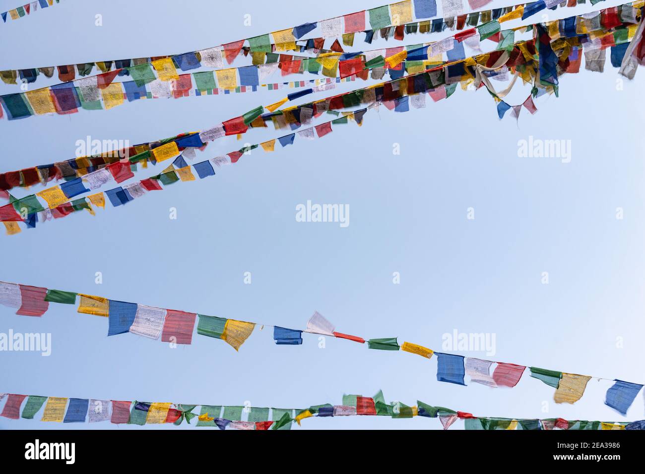 Buddhistische Gebetsfahnen in Ladakh, Indien Stockfoto
