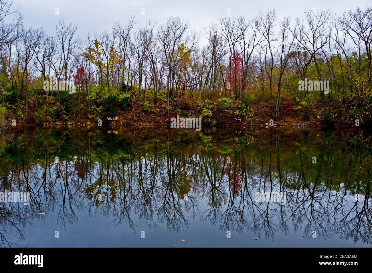 Herbst Waldbaum Reflexionen im Wasser Stockfoto Herbst Waldbaum Reflexionen im Wasser Stockfoto