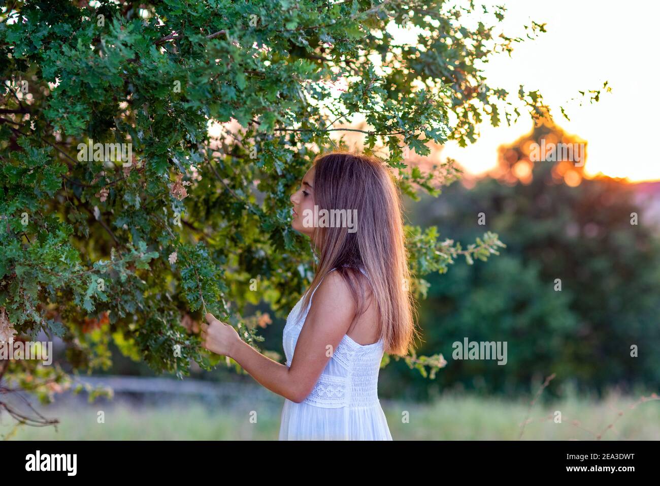 Profil eines jungen Mädchens in weißem Kleid bei Sonnenuntergang Mit blonden langen Haaren, die den magischen Baum berühren Stockfoto