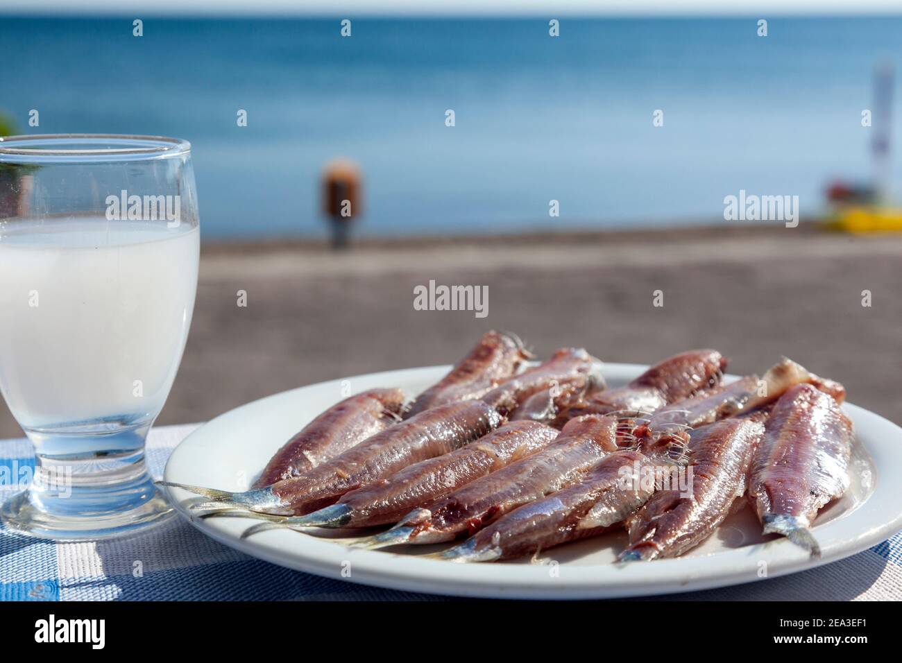 Gesalzene Sardinen und Ouzo-Getränk, eine beliebte Fischdelikatesse von Kalloni, Insel Lesvos, Griechenland, anerkannt als Produkt der geschützten Ursprungsbezeichnung Stockfoto