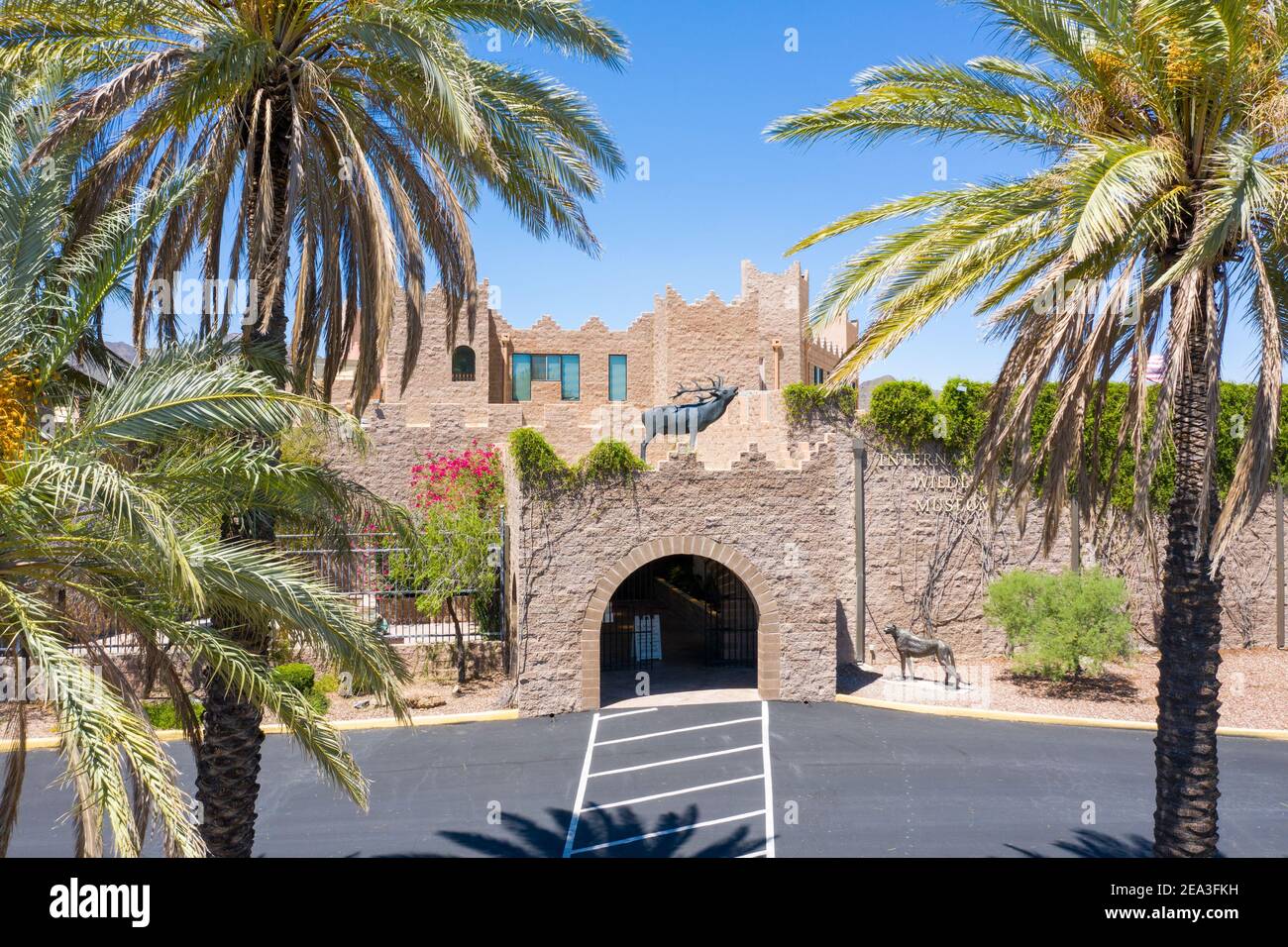 International Wildlife Museum, Tucson, AZ, USA Stockfoto