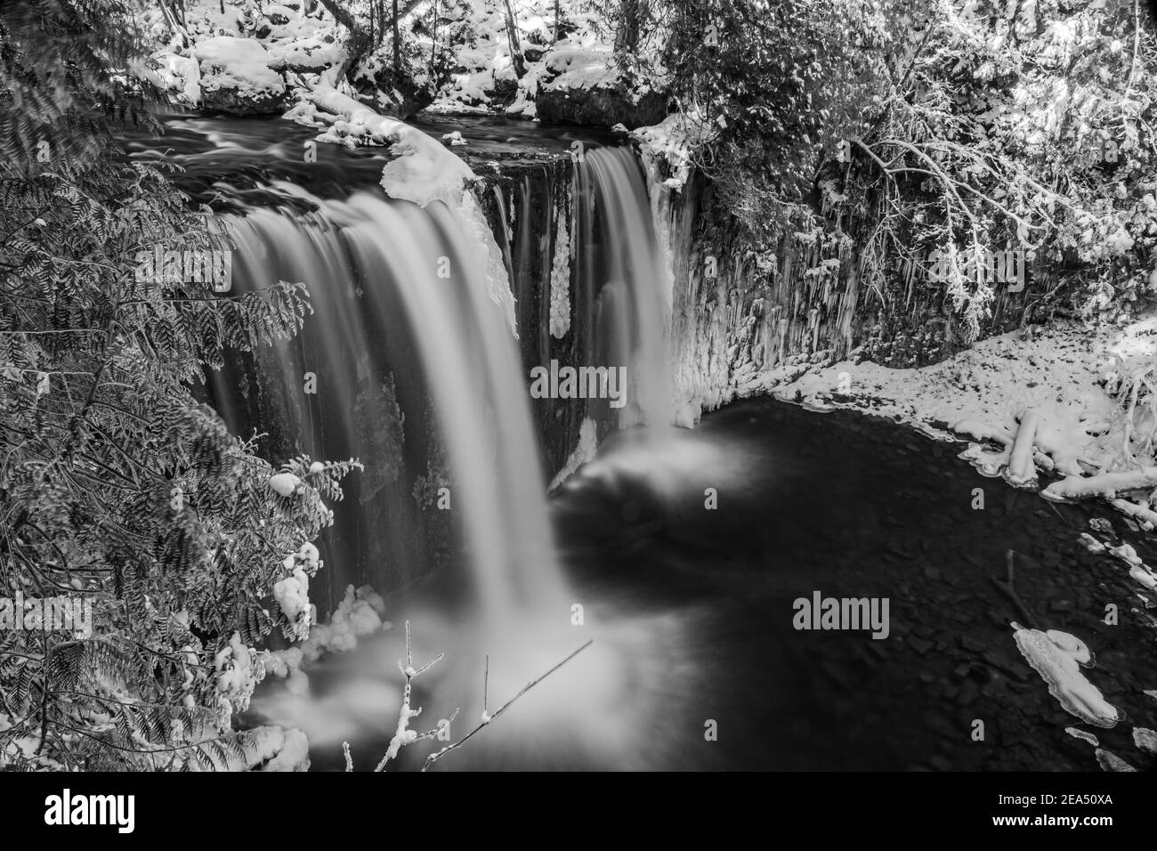 Hoggs Falls Grey Sauble Conservation Area Flesherton Ontario Kanada Stockfoto