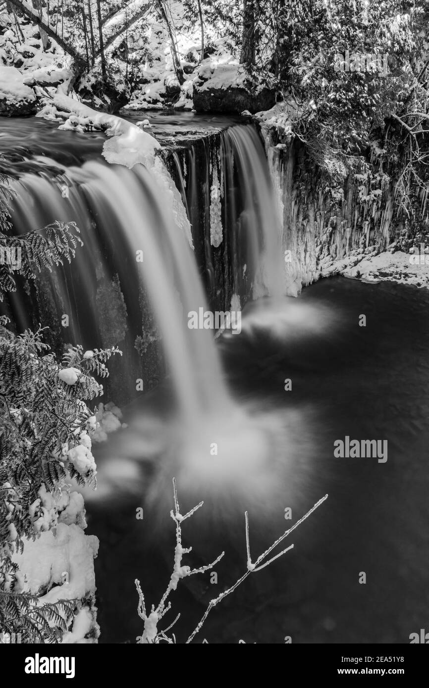Hoggs Falls Grey Sauble Conservation Area Flesherton Ontario Kanada Stockfoto