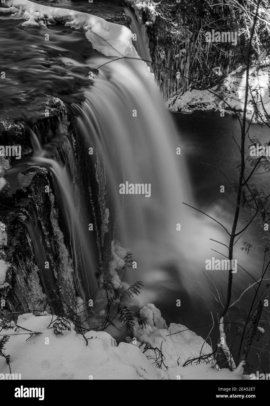 Hoggs Falls Grey Sauble Conservation Area Flesherton Ontario Kanada Stockfoto