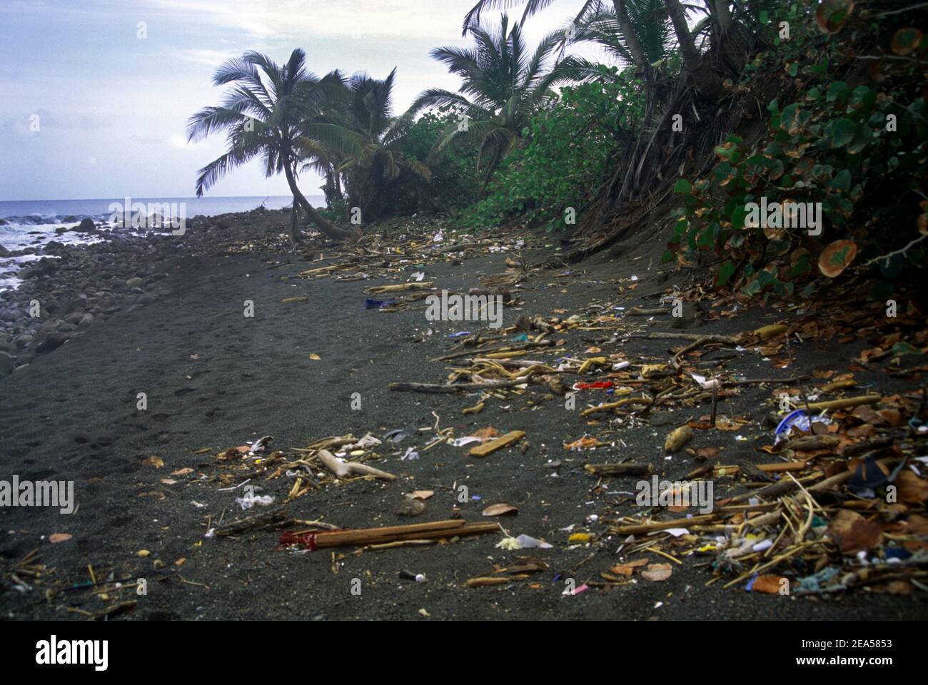 Black Rocks St. Kitts Müll am Strand Stockfoto