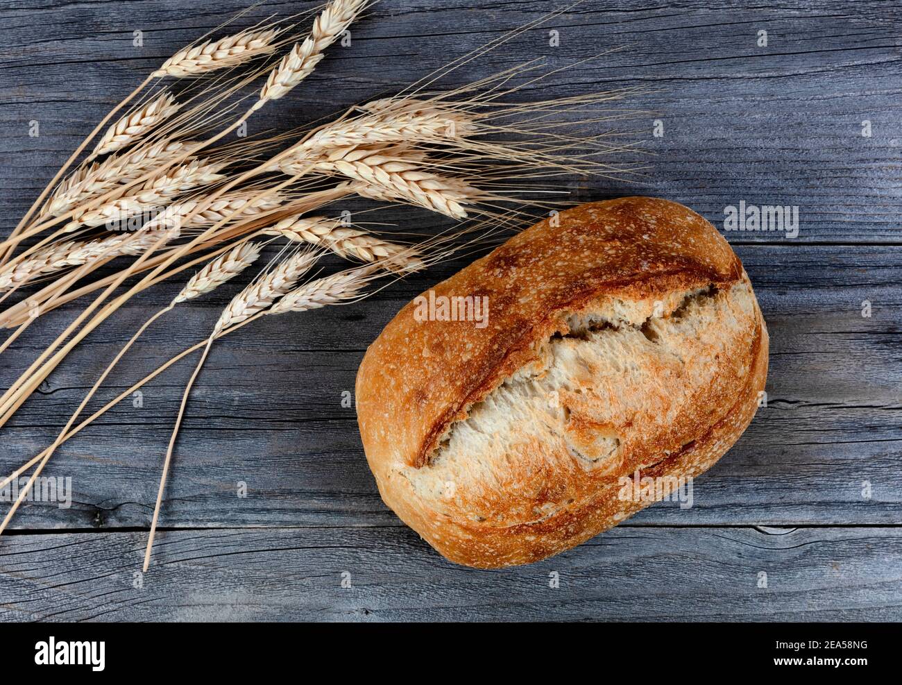 Nahaufnahme des hausgemachten ganzen Sauerteig Laib Brot Mit getrockneten Weizenstielen auf verwitterten Holzbohlen Stockfoto