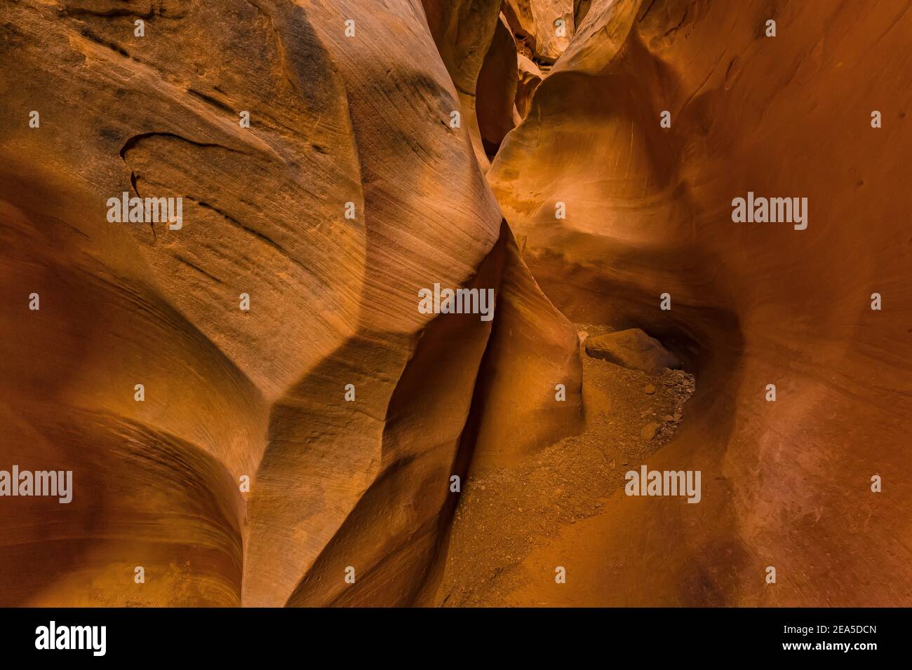 Navajo Sandsteinformationen der Narrows im Little Wild Horse Canyon im San Rafael Swell, Süd-Utah, USA Stockfoto