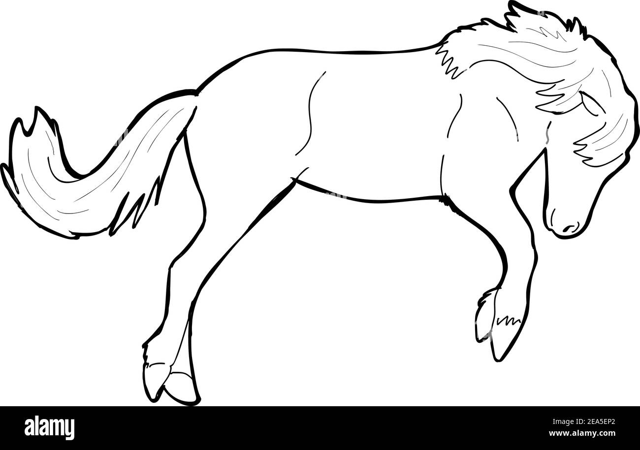 Vektor-Illustration eines Pferdes in schwarz und weiß Stock Vektor