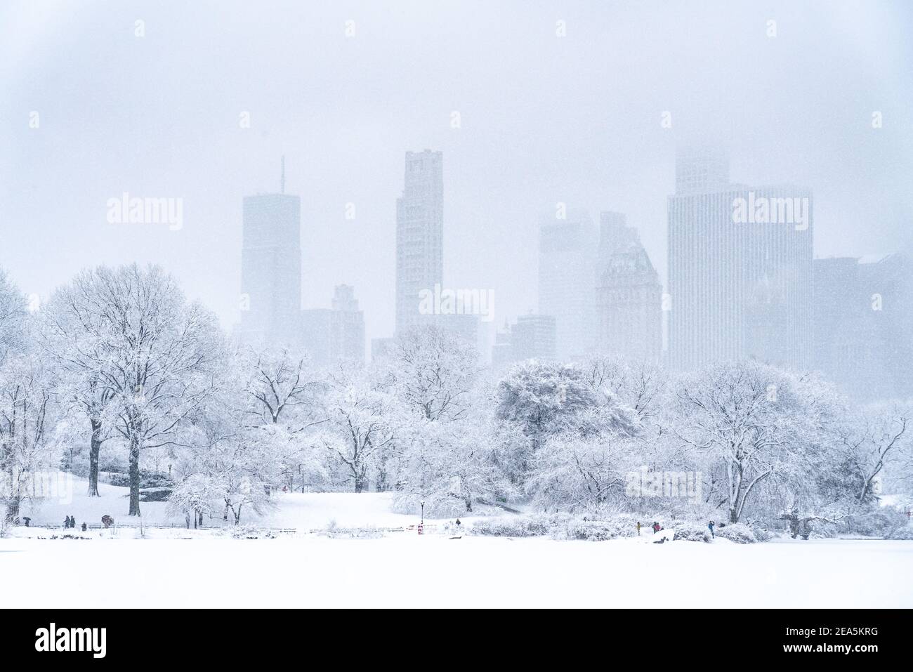 Blick nach Süden über den See im Central Park mit Manhattans Skyline im Hintergrund. Stockfoto