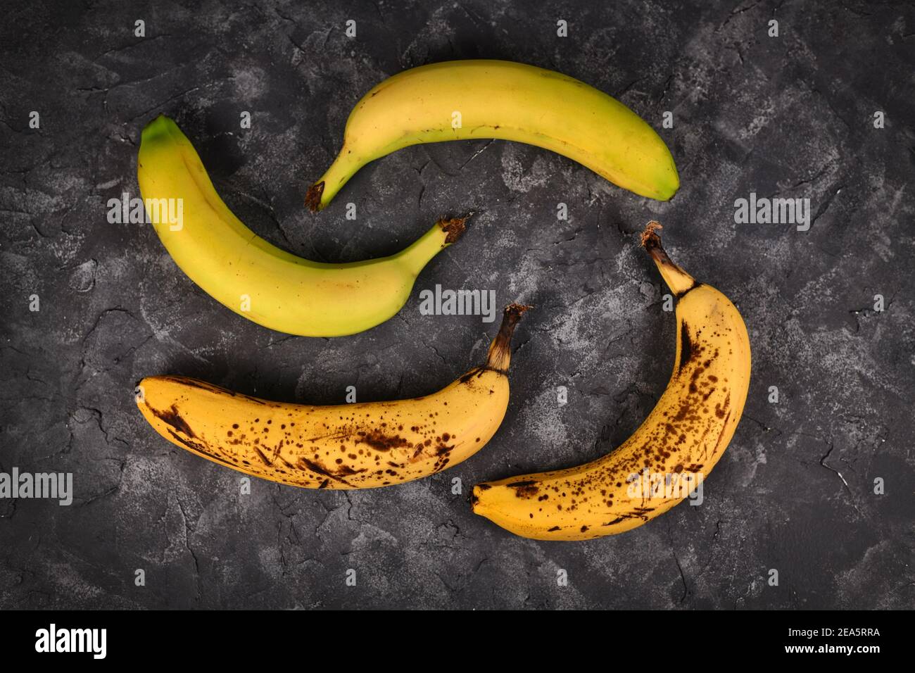 Vergleich von reifen Bananen mit schwarzen Flecken und leicht grün Bananen auf schwarzem Hintergrund Stockfoto