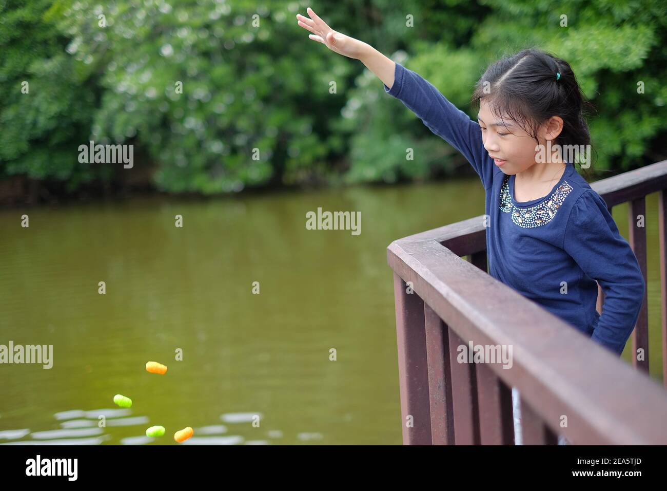 Eine attraktive Asiatin wirft bunte Futterpellets für verschiedene Süßwasserfische an einem Teich in einem öffentlichen Park in Thailand. Stockfoto