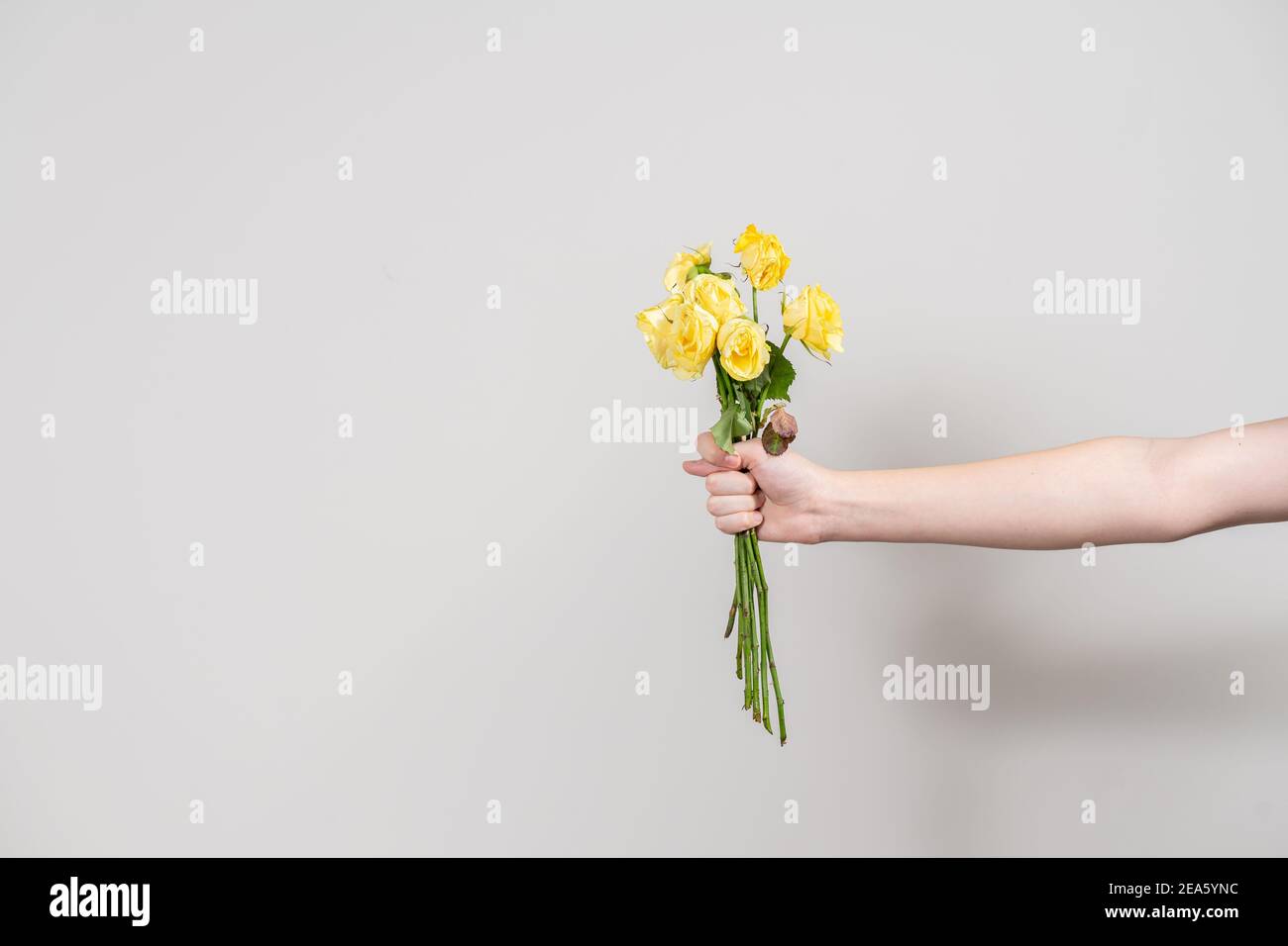 Die Hand des Mannes hält einen Strauß verwelkter Blumen aus und zeigt ein Fig.-Trennungskonzept. Layout mit Platz für Text Stockfoto