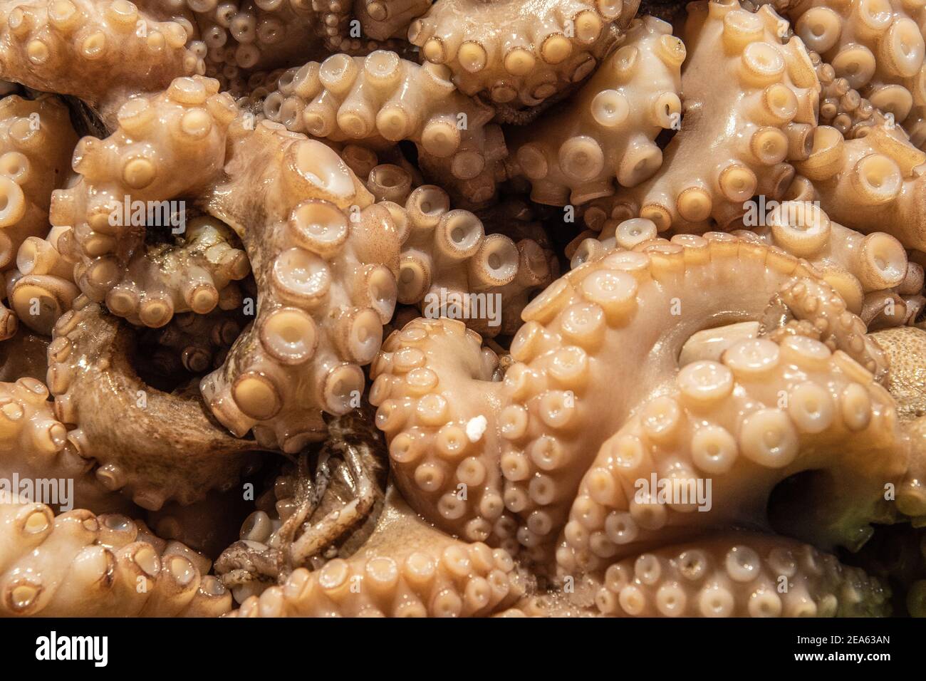 Octopus Tentakeln im Verkauf im Fischmarkt 6419 Stockfoto