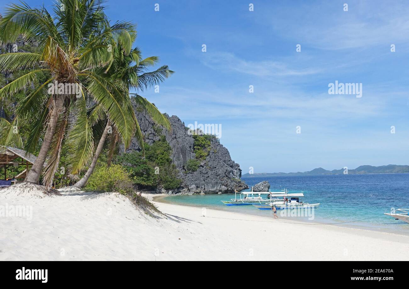 Makelloser weißer Strand mit Kokospalmen auf den Philippinen Stockfoto