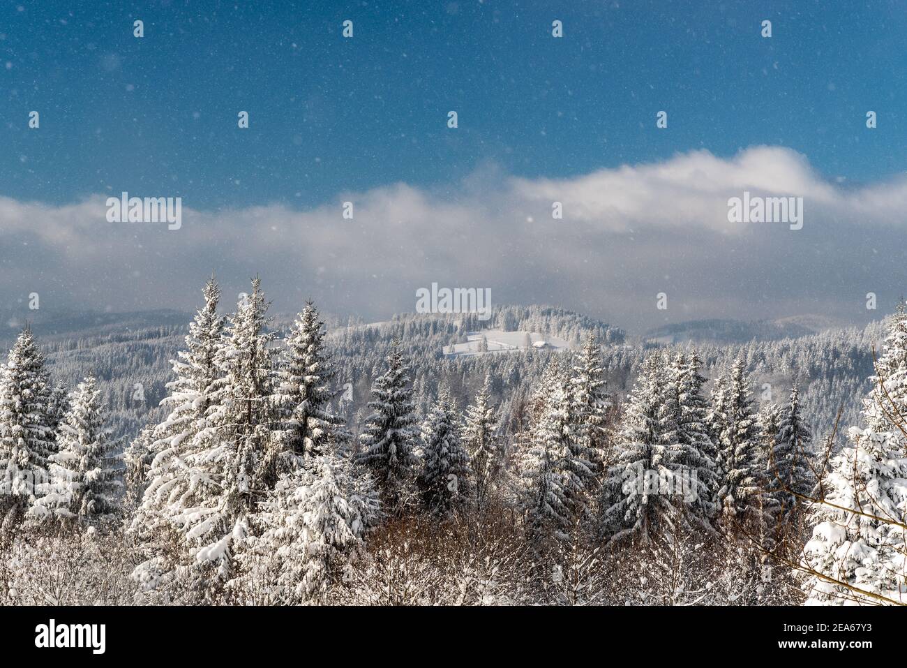 Blick von Bily kriz im Winter Moravskoslezske Beskydy Berge in Tschechien mit gefrorenem Wald, Hügeln, blauem Himmel mit Wolken und Schneeverwehung Stockfoto