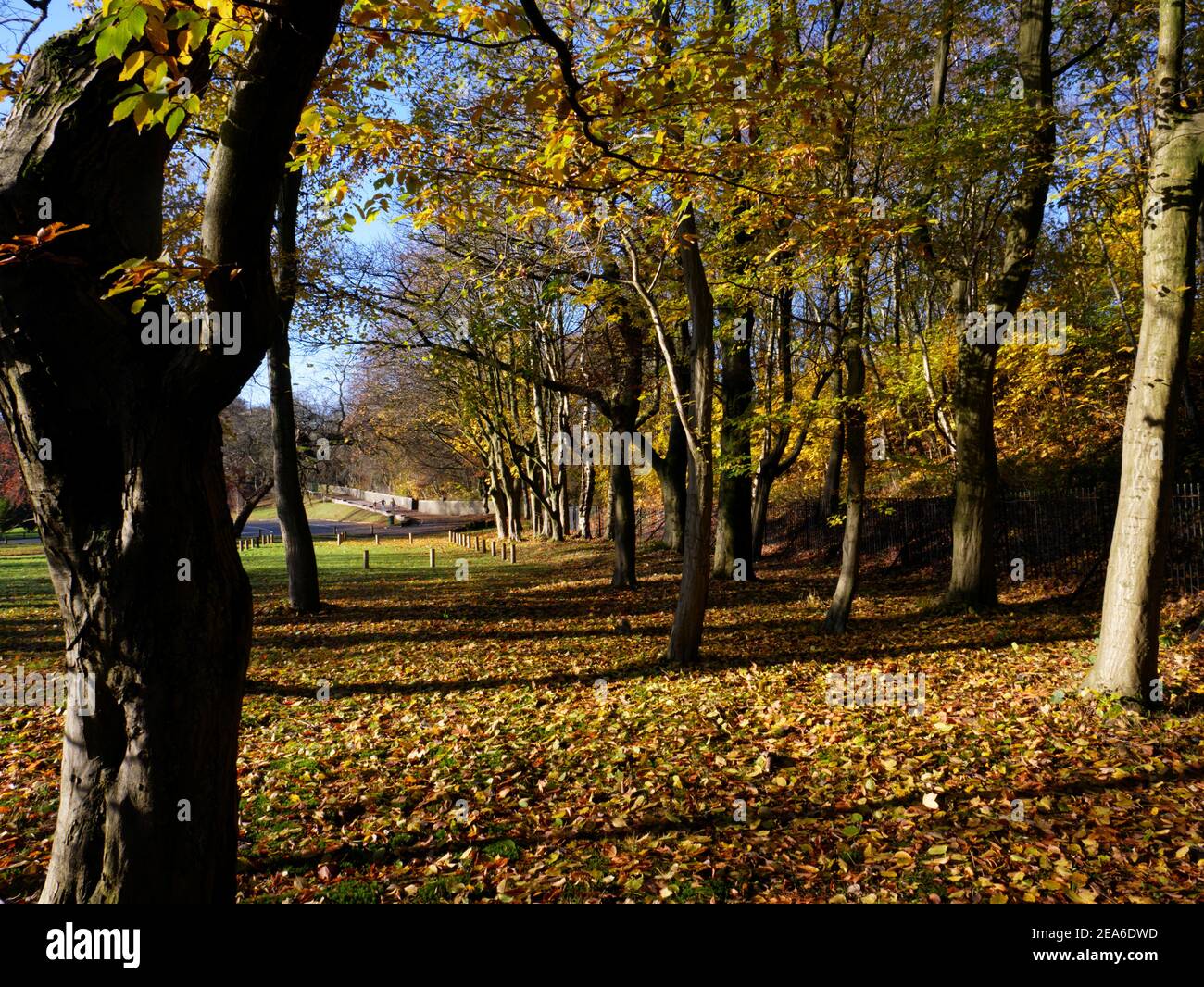 Herbst in Thompson Park, Burnley, Lancashire. Stockfoto