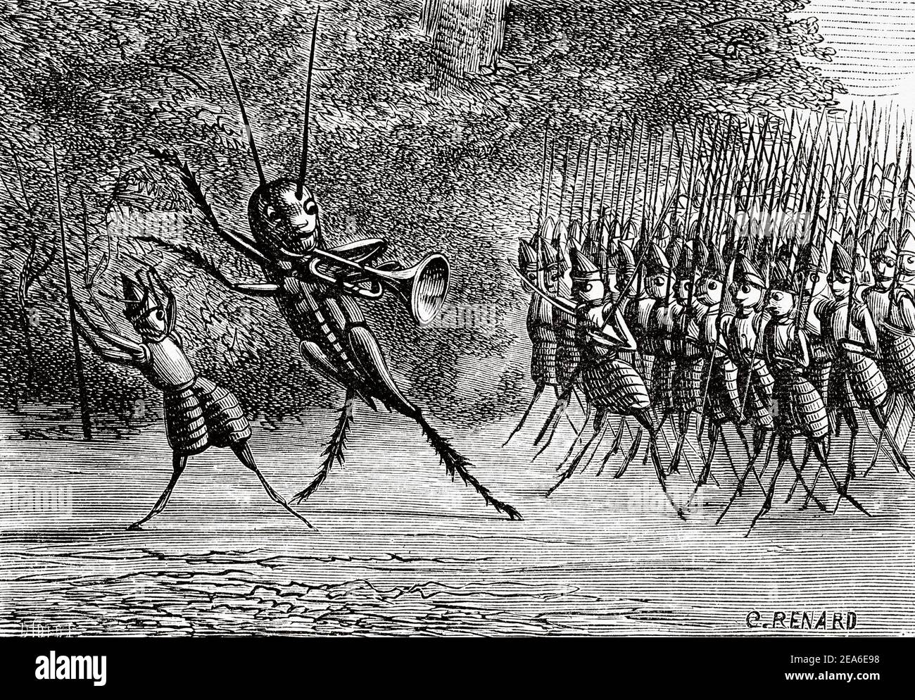 Alte Illustration aus dem 19. Jahrhundert von Kricketabenteuern von Ernest Charles Auguste Candèze (1827-1898) belgischer Arzt und Entomologe. Alte 19th Jahrhundert gravierte Illustration von El Mundo Ilustrado 1879 Stockfoto