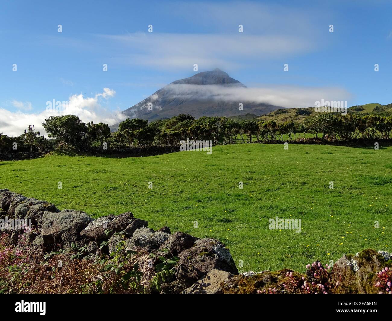 Pico Berg, Azoren Inseln, Pico Insel, grüne Weide und Berg im Hintergrund. Stockfoto