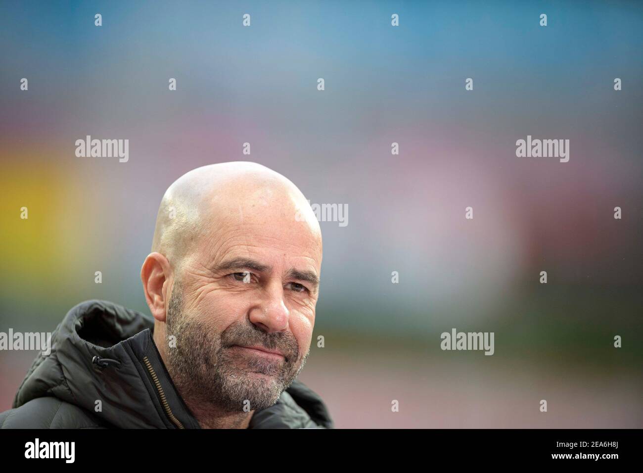 Trainer Peter BOSZ (LEV) Fußball 1. Bundesliga, Spieltag 20th, Bayer 04 Leverkusen (LEV) - VfB Stuttgart (S) 5: 2, am 6. Februar 2021 in Leverkusen. ¬ Verwendung weltweit Stockfoto