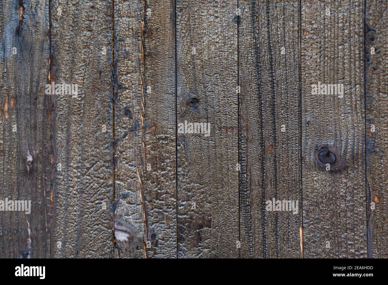 Verbranntes Holz Textur Hintergrund. Hochauflösendes Bild von Holzkohle verbrannten schwarzen Holzwand Stockfoto