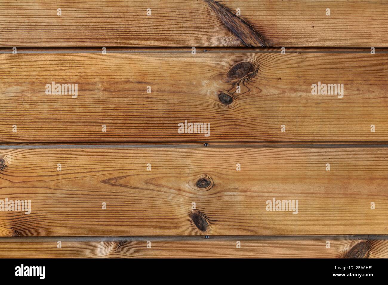 Holzpaneele. Hochauflösendes Bild von Eichenholz Planken Tisch Nahaufnahme. Stockfoto