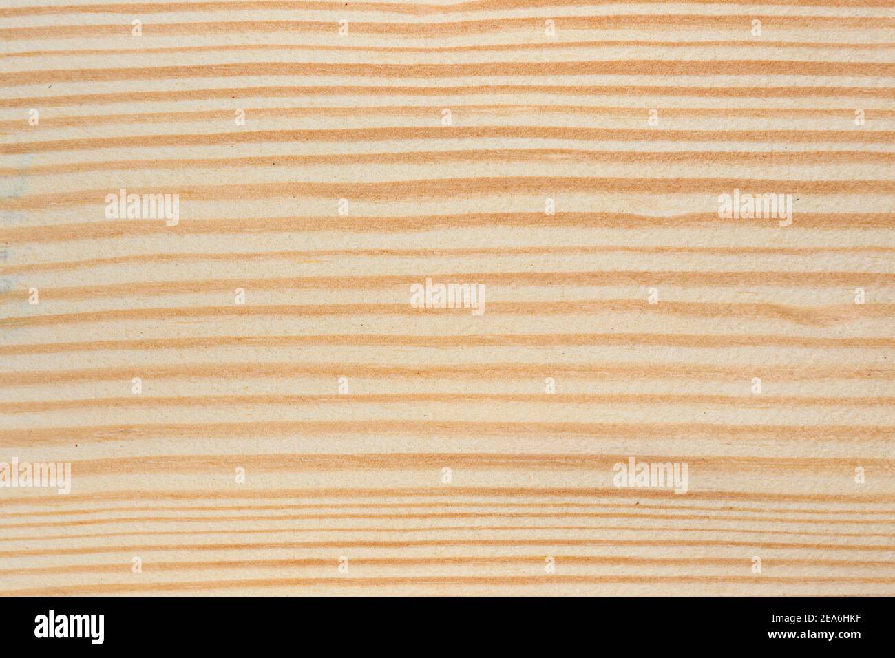 Kiefernholzstruktur. Helle Kiefer Holz Maserung Hintergrund Stockfoto