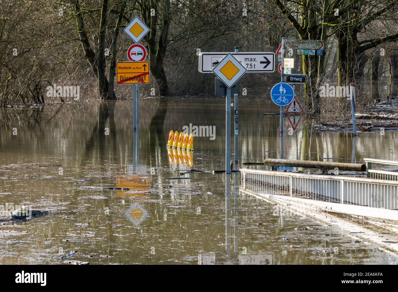 Rheinflut im Süden Düsseldorfs, hier eine überflutete Landstraße Stockfoto