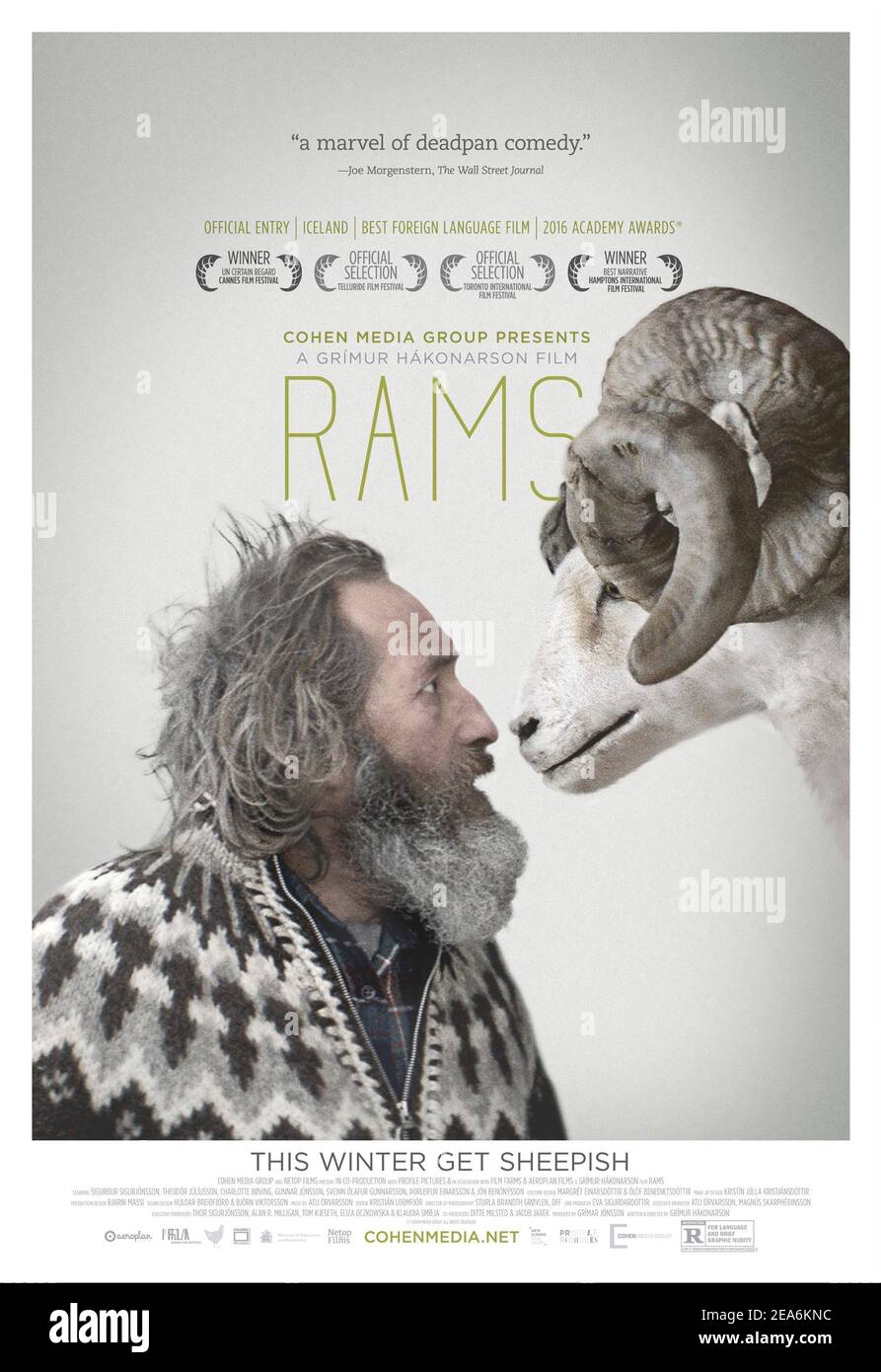 Rams (2015) unter der Regie von Grímur Hákonarson mit Sigurður Sigurjónsson, Theodór Júlíusson und Charlotte Bøving. Isländischer Film über zwei Brüder, die in 40 Jahren nicht gesprochen haben, müssen zusammenkommen, um ihre Schafe zu retten. Stockfoto