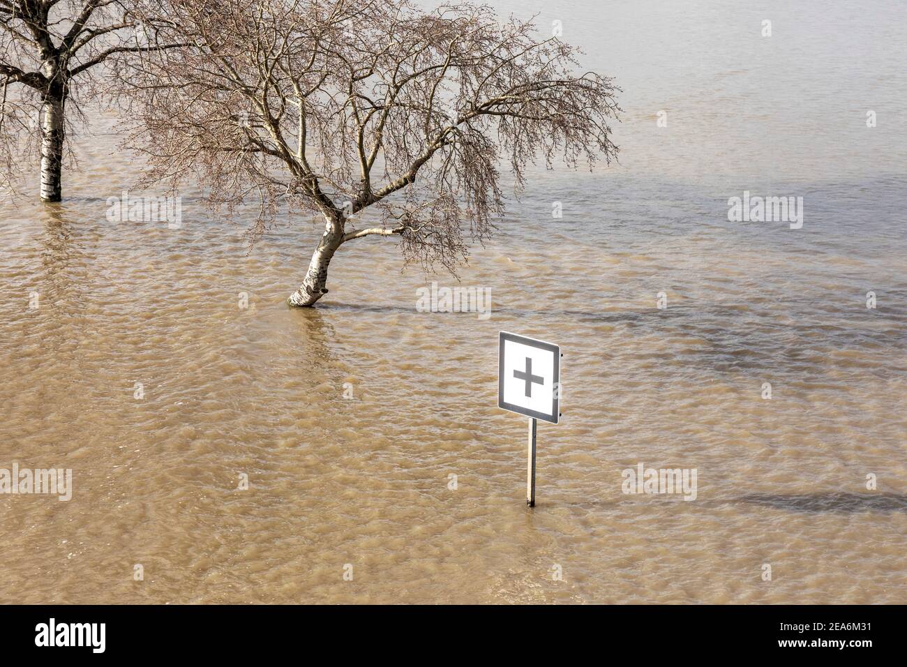 Hochwasser am Rhein überflutet die Wiesen der Oberkassel Bezirk Stockfoto