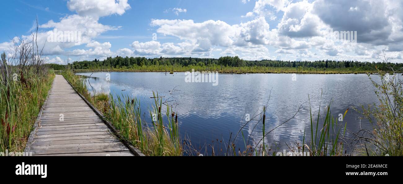 Holzsteg im Moor Schwenninger Moos bei Villingen-Schwenningen, Deutschland Stockfoto