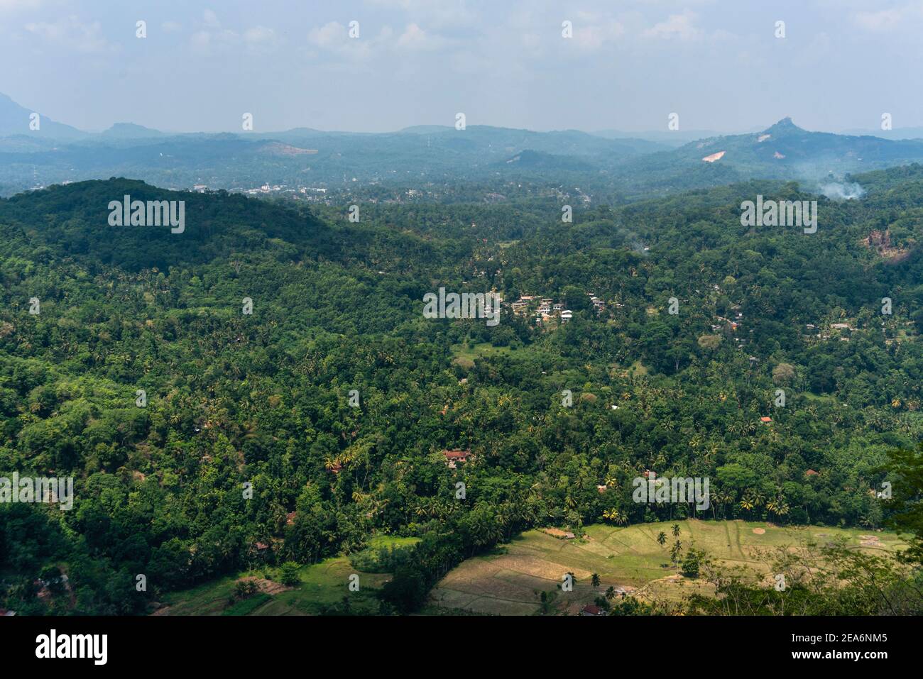 Ländliche und foresty Landseite von Sri Lanka. Grüne Hügel und Wälder Stockfoto