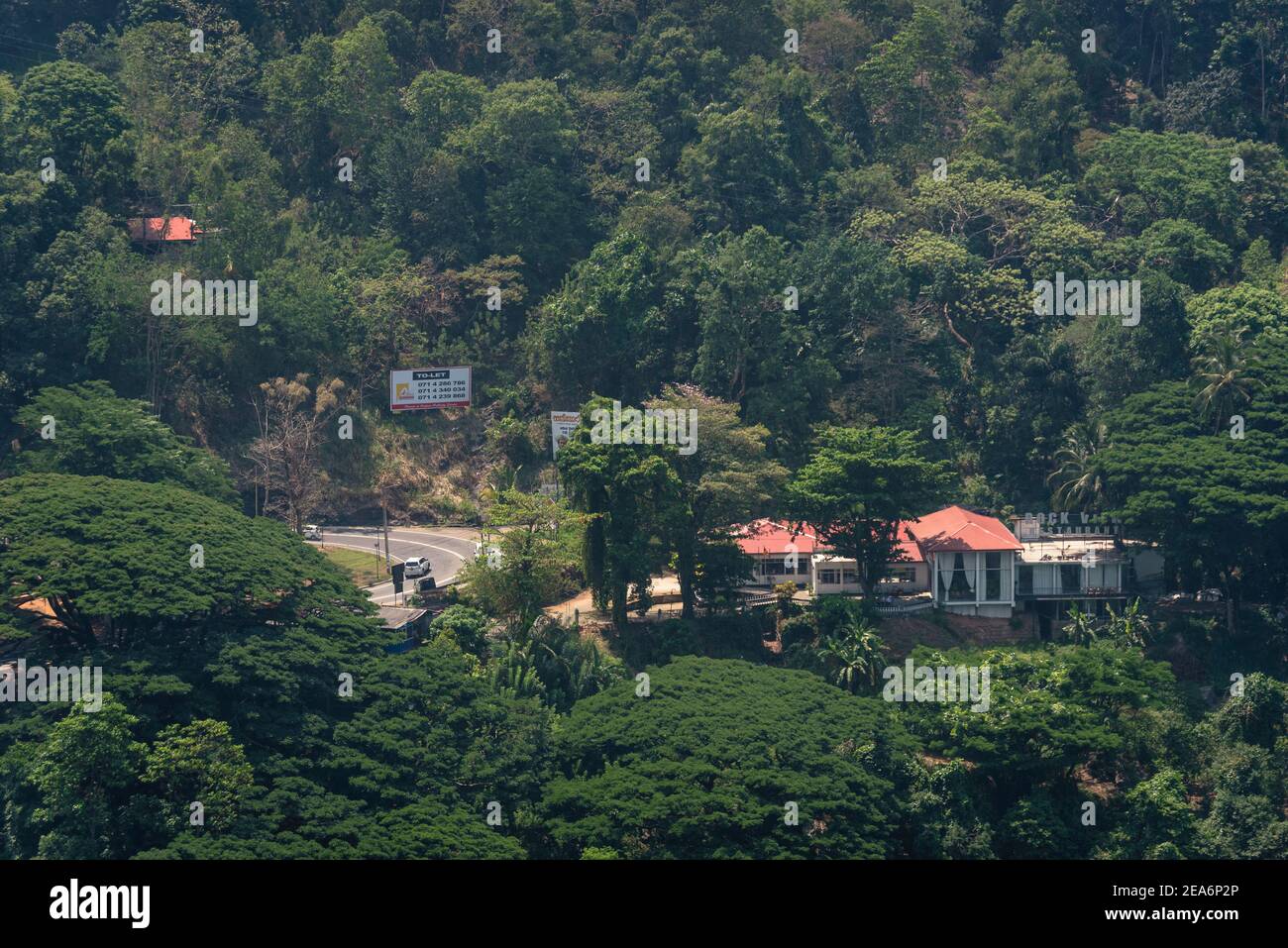 Ländliche Städte in der foresty Landseite von Sri Lanka. Stockfoto