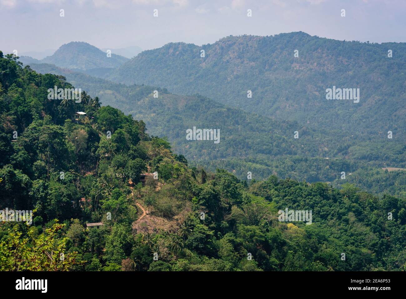 Ländliche und foresty Landseite von Sri Lanka. Grüne Hügel und Wälder Stockfoto