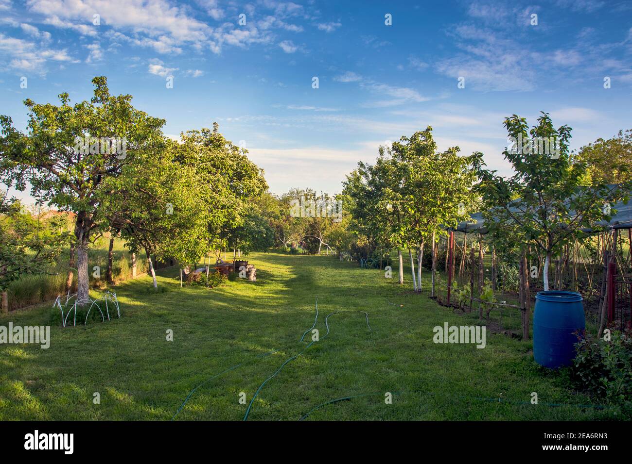 Arrangiert und schöner Dorfhof mit Gras. Der Hof sieht besonders schön aus, während er von der untergehenden Abendsonne beleuchtet wird. Stockfoto