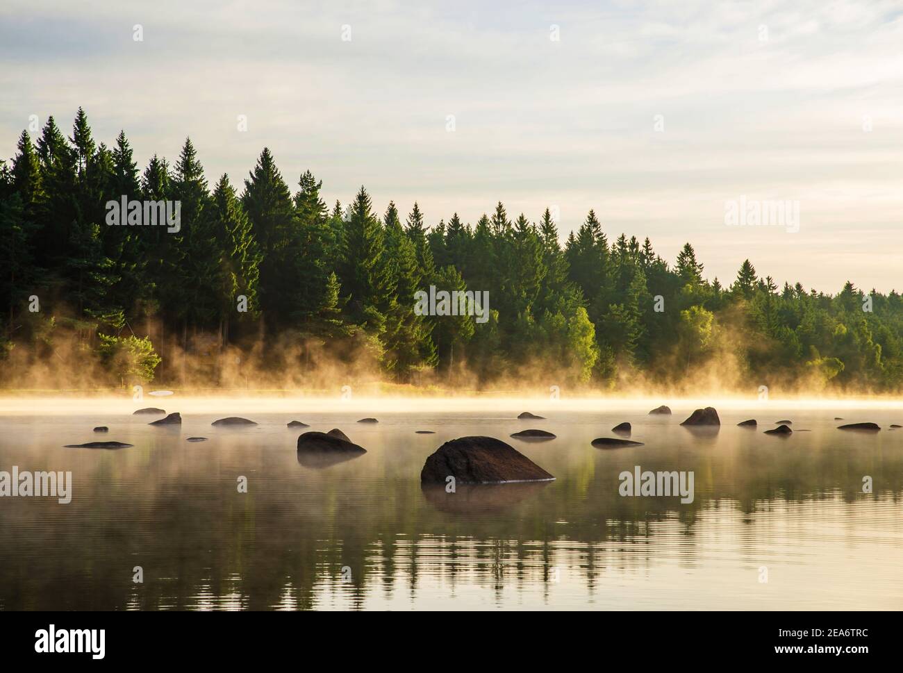 Ruhiger Waldsee (Teich) mit Felsbrocken an der Oberfläche bei nebligen Sonnenaufgang im Sommer. Tschechische republik, Südböhmen, Naturpark namens "Tschechische Kanada". Stockfoto