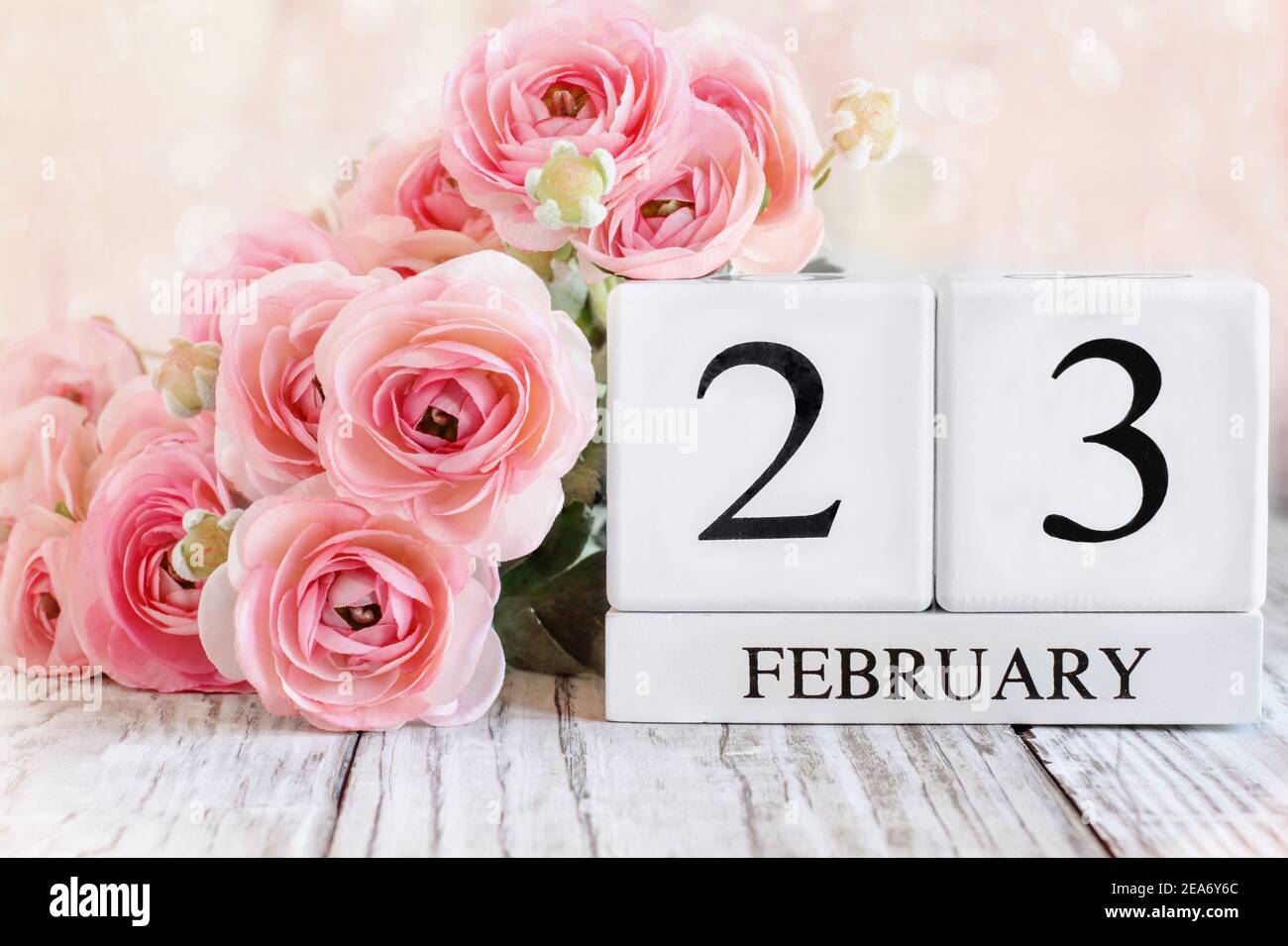 Weiße Holz Kalenderblöcke mit dem Datum Februar 23rd und rosa Ranunculus Blumen über einem Holztisch. Selektiver Fokus mit unscharfem Hintergrund. Stockfoto