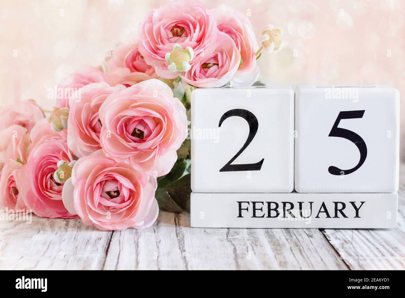 Kalendarblöcke aus weißem Holz mit dem Datum Februar 25th. Selektiver Fokus mit rosa Ranunculus im Hintergrund über einem Holztisch. Stockfoto