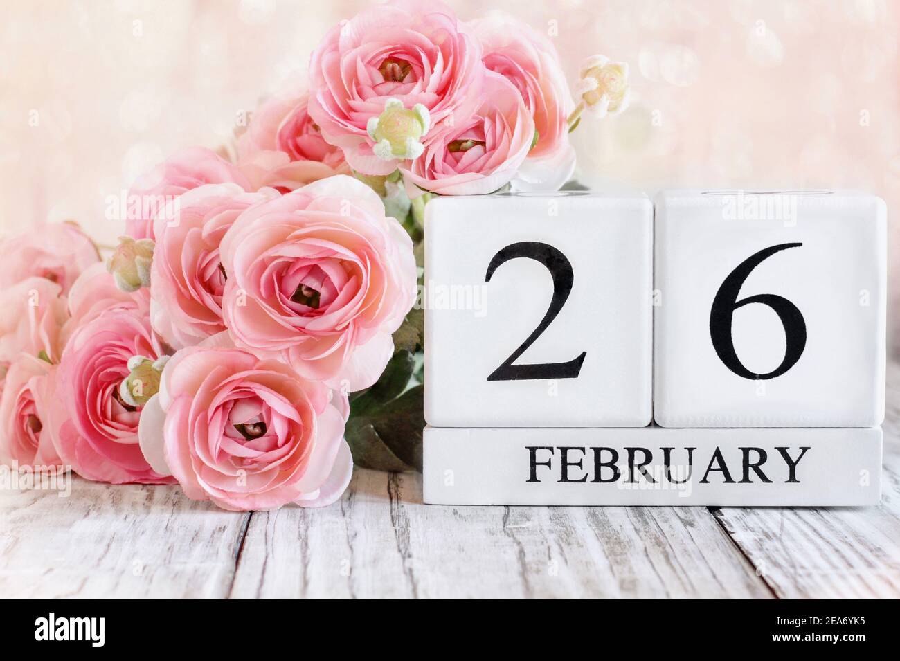 Weiße Holz Kalenderblöcke mit dem Datum Februar 26th und rosa Ranunculus Blumen über einem Holztisch. Selektiver Fokus mit unscharfem Hintergrund. Stockfoto