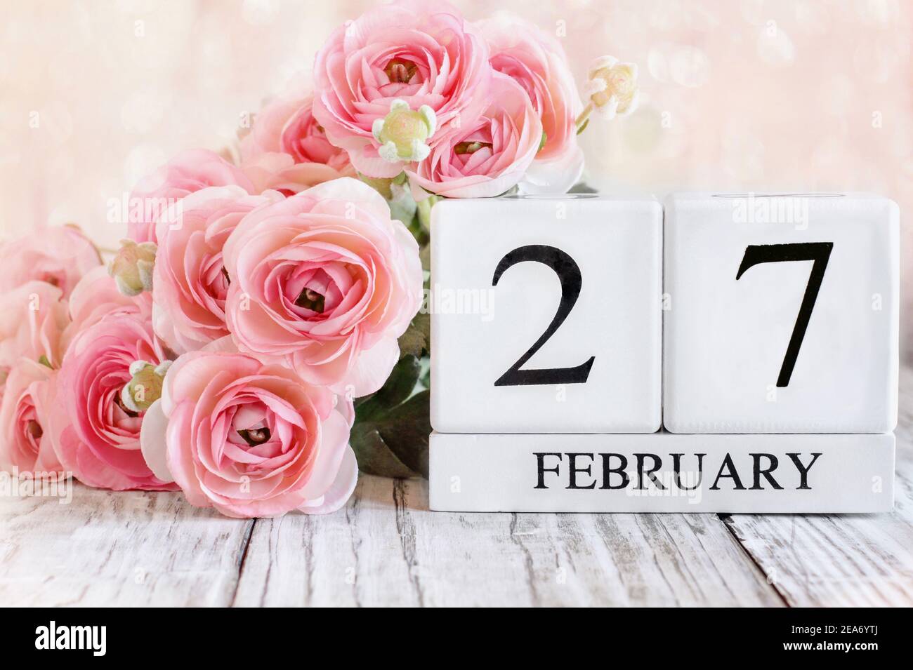Weiße Holz Kalenderblöcke mit dem Datum Februar 27th und rosa Ranunculus Blumen über einem Holztisch. Selektiver Fokus mit unscharfem Hintergrund. Stockfoto