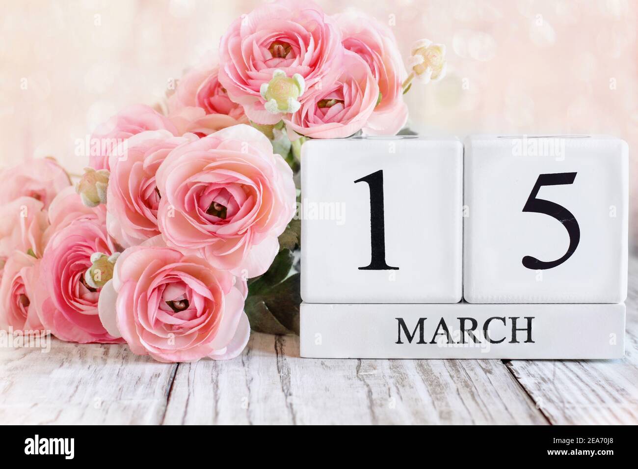 Kalendarblöcke aus weißem Holz mit dem Datum März 15th. Selektiver Fokus mit rosa Ranunculus im Hintergrund über einem Holztisch. Stockfoto