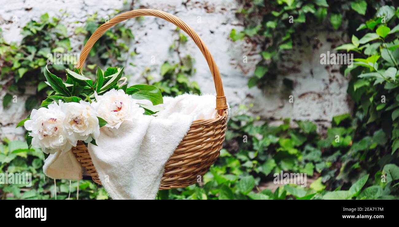 Weiße Pfingstrosen blühender Blumenstrauß im hölzernen Picknickkorb auf weißem Plaid außen. Picknick und romantische Datenkorb mit Frühlingsblumen im Garten Stockfoto