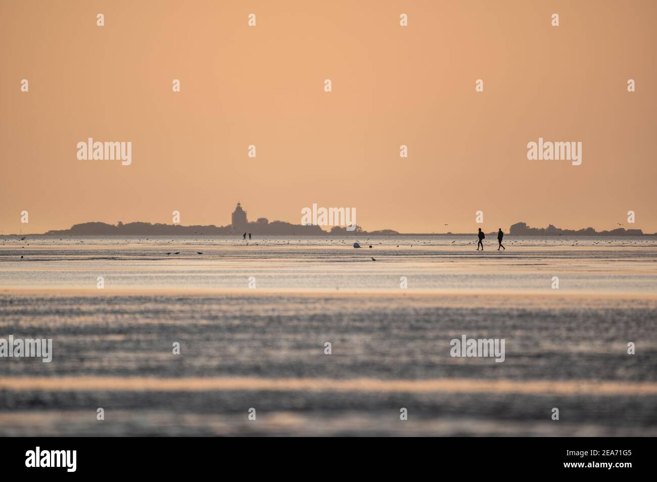 Menschen bei Sonnenuntergang im wattenmeer in Cuxhaven bei Sonnenuntergang - Menschen im Watt von Cuxhaven im Sonnenuntergang Stockfoto