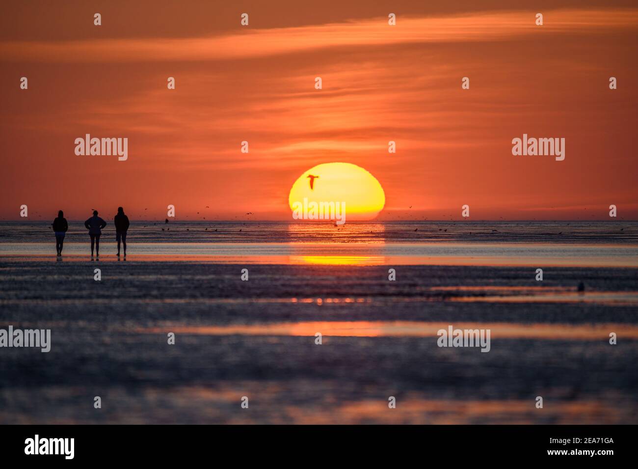 Menschen bei Sonnenuntergang im wattenmeer in Cuxhaven bei Sonnenuntergang - Menschen im Watt von Cuxhaven im Sonnenuntergang Stockfoto