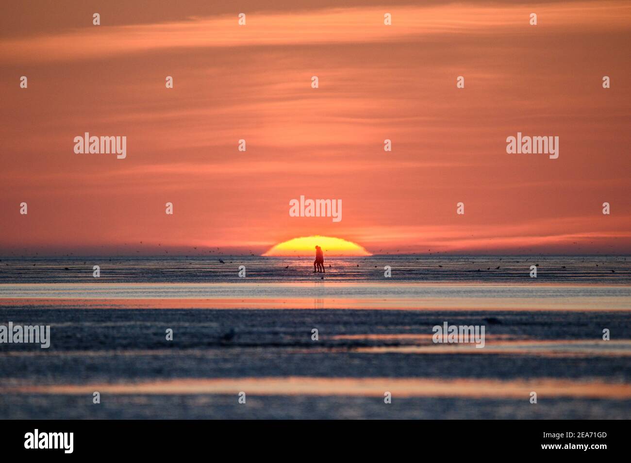 Menschen bei Sonnenuntergang im wattenmeer in Cuxhaven bei Sonnenuntergang - Menschen im Watt von Cuxhaven im Sonnenuntergang Stockfoto